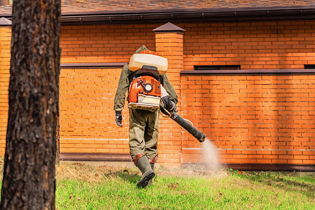 Bed Bug Clearance Verification and Documentation in Murillo